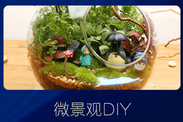 奖品邀请函|1.16北京苏亚新年VIP答谢盛典即将盛大开启！