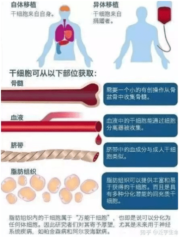 人体探究干细胞除皱是什么、干细胞去皱纹可靠吗？