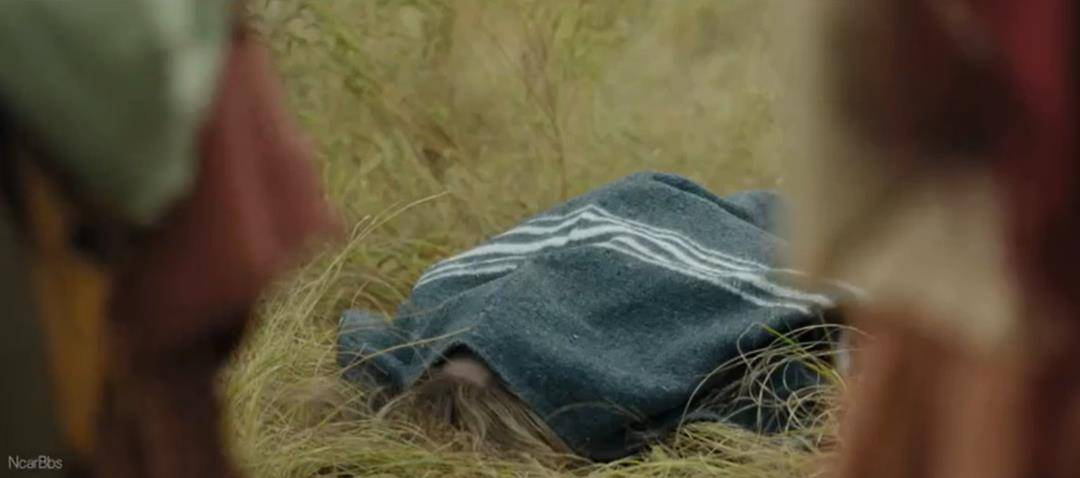 头皮|豆瓣9.4,西部片的天花板