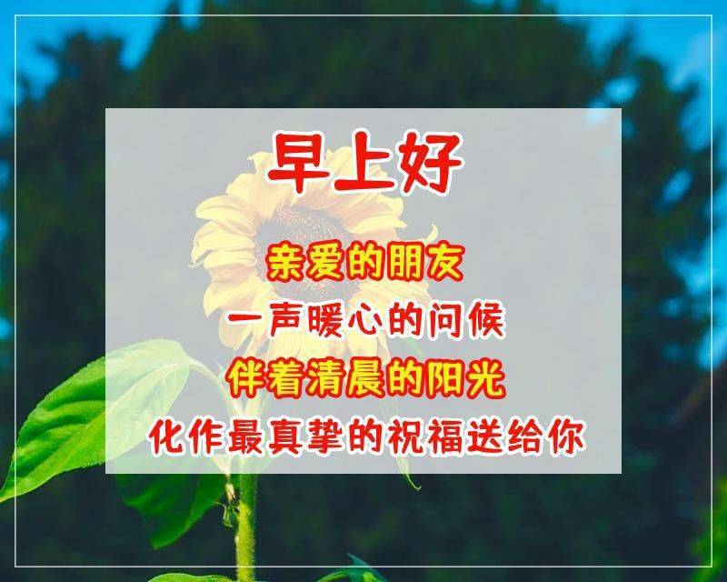 6cdcd5fcf91546a39f5a57b9241af1b1.jpeg