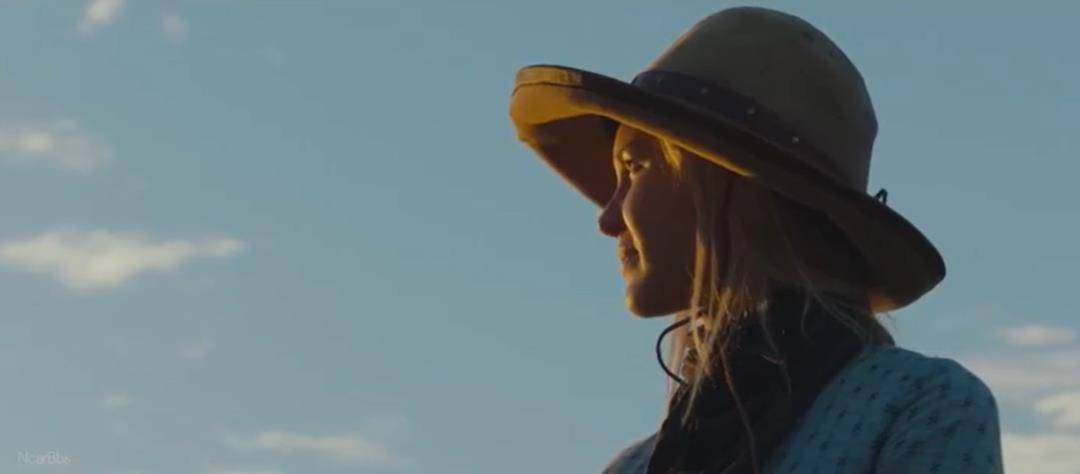 头皮|豆瓣9.4,西部片的天花板