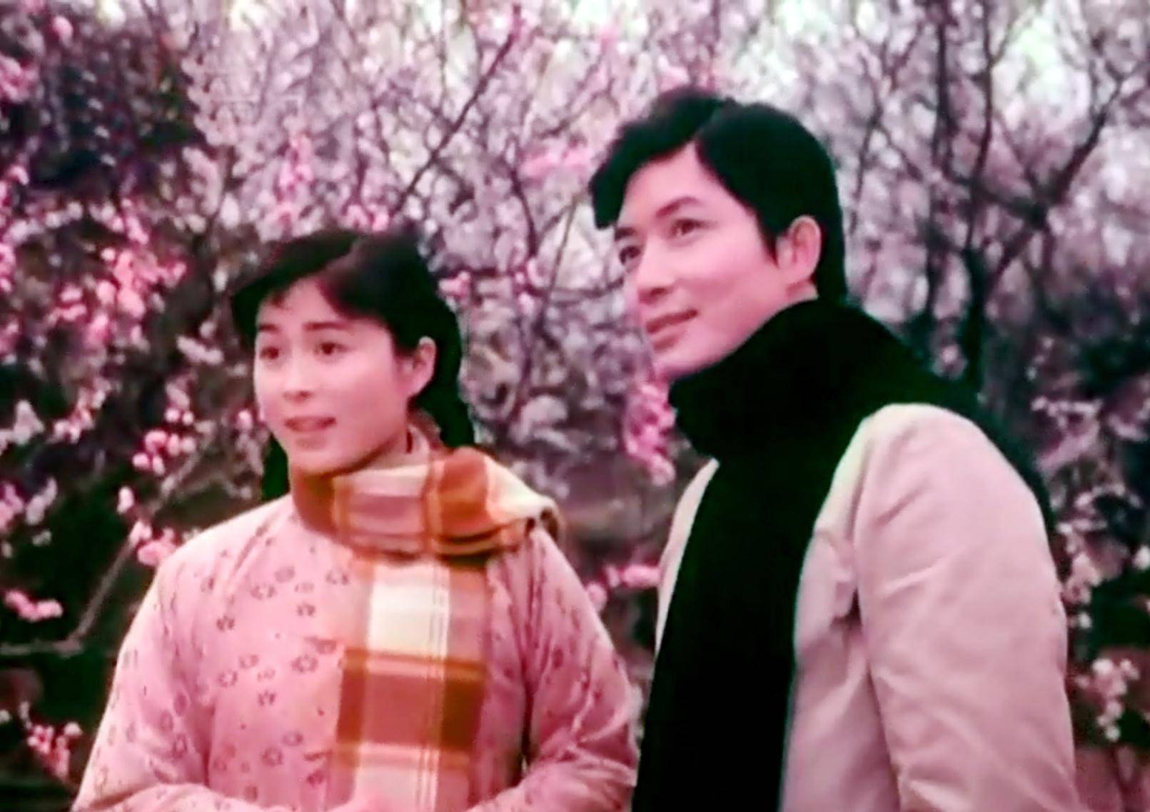 因为|昔日女星王琴宝 美丽又温柔 80年代“标准女友”如今61岁被淡忘