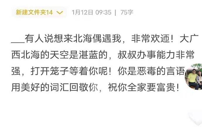 许妈|李莉走了！有人要去北海找舅妈的麻烦，这次她终于不再隐忍