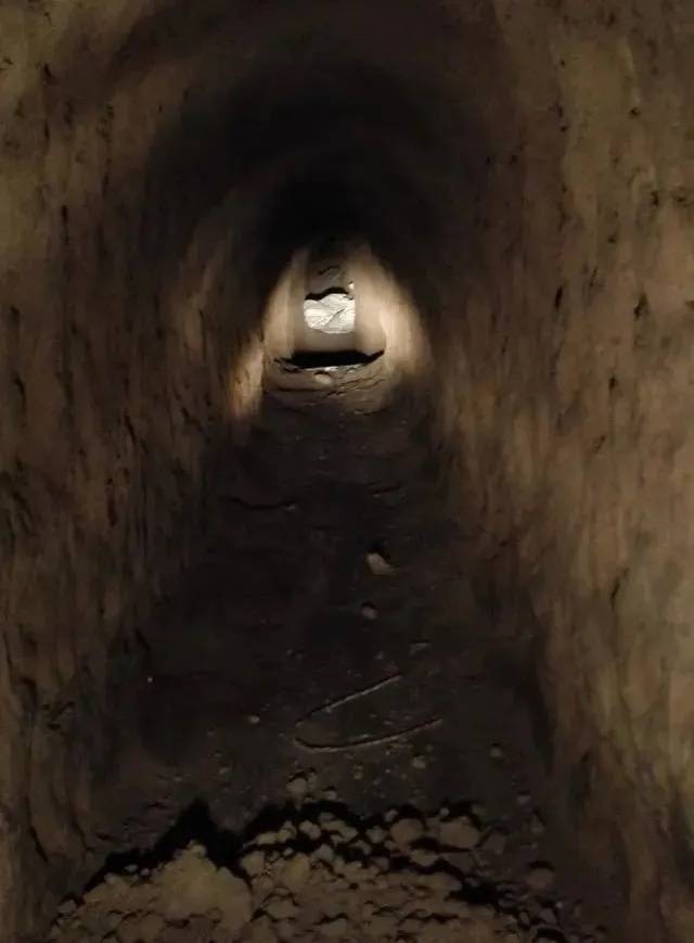 明面开饭馆做生意,背地里盗地宫95件文物:现实版《盗墓笔记》