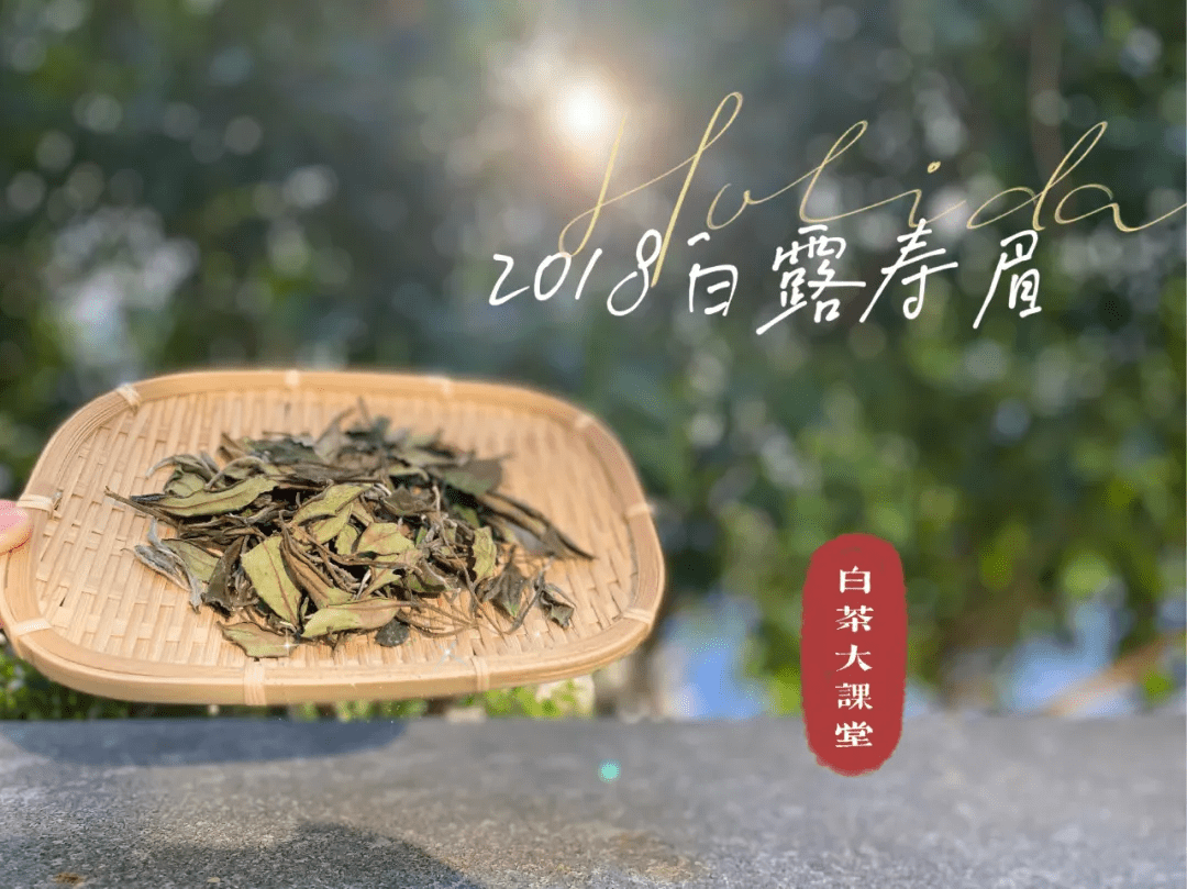 来信|茶友来信:我在寿眉散茶中闻到了类似枣香的气息,正常吗?
