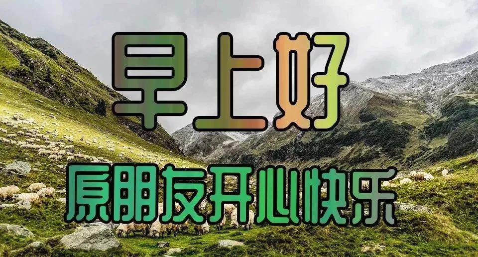 原創2022年清晨早上好暖心問候語動態表情圖片早安祝福動態圖片分享