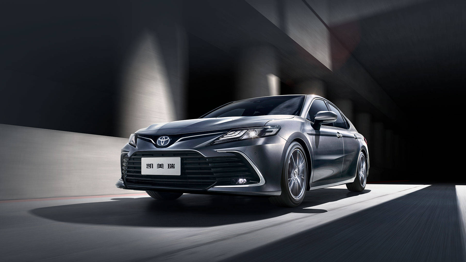 中大型轿车销量排行榜_2022上半年中大型轿车销量排行榜(2)