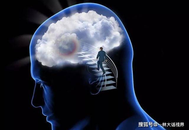 效应人在镜子里看到的自己和照相机中的自己,哪个更真实?