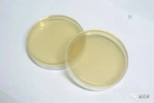 装液体培养基用于微生物的振荡培养1试管微生物实验中使用到哪些瓶皿