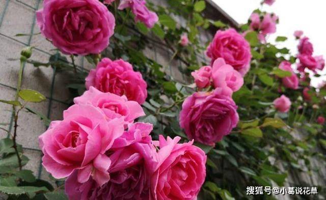 fb72e196b5004049838ddb6ff1be4ad4.jpeg