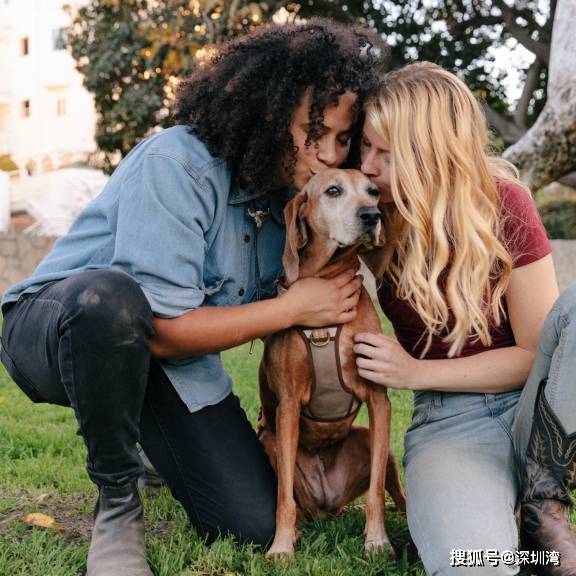 Google 启动开放式雷达标准，车载、家居、穿戴有望普及雷达？