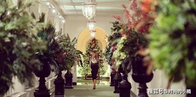 新造型 梅拉尼娅亲自布置白宫，踩细高跟装饰圣诞树，走路尽显女主人风范