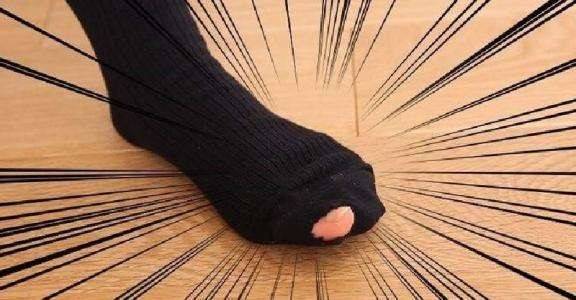 袜子多久换一次 b1e18f8c51ea4b8a9c4b53c4ee7b026f.jpeg