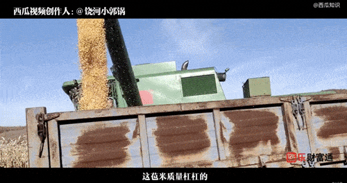 蓝领打工人“生财”有道？个人成长价值凸显成就“富”生活