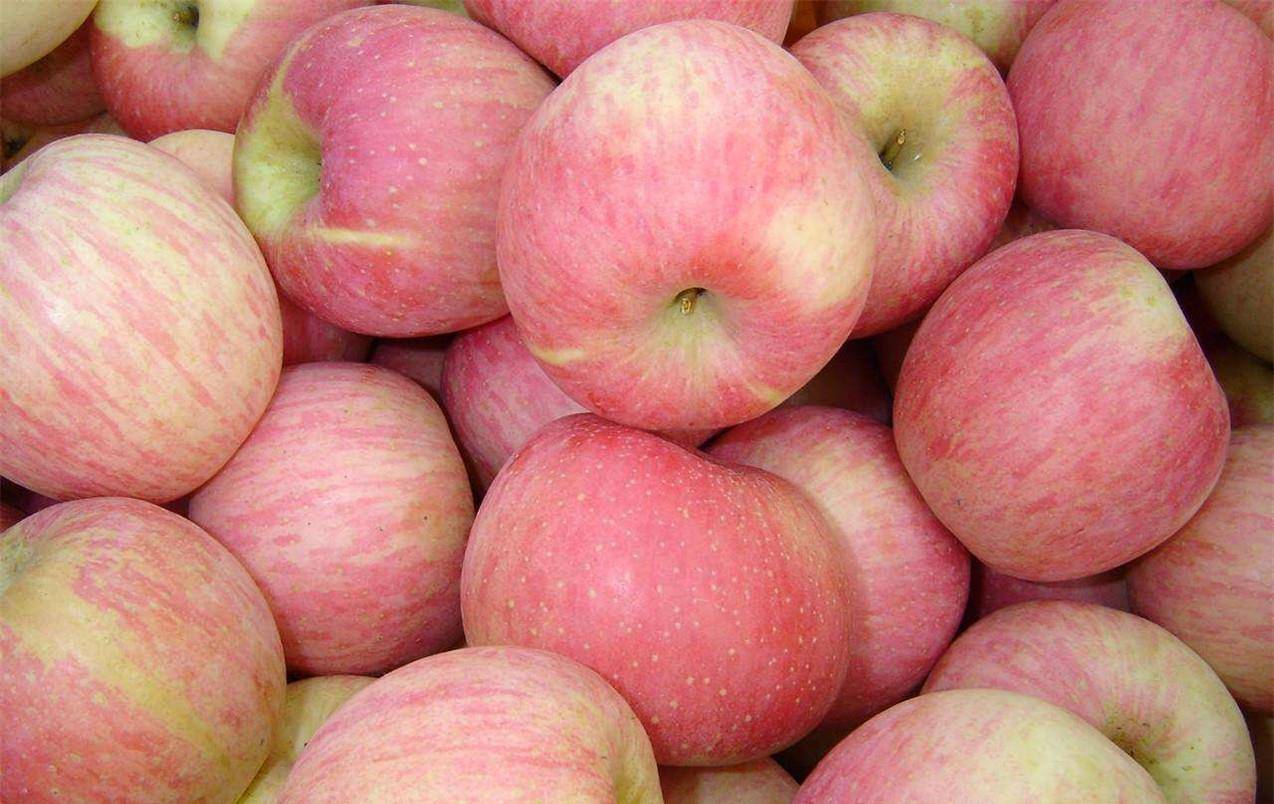 苹果怎么吃才养胃健脾 daf2cb63da8f42498a06010e24470a84.jpeg