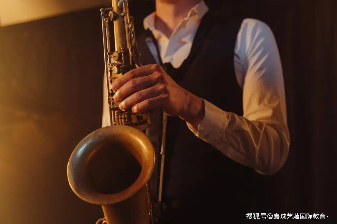 萨克斯种类价格排行榜_萨克斯价格排行榜,31个今日最新价格表
