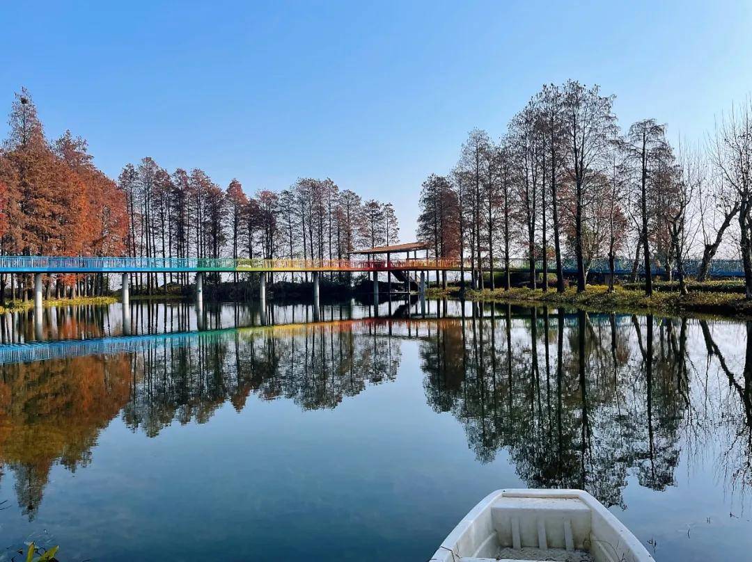 武汉东湖5a级风景区焕然一新:水清气净,鱼翔浅底_华侨城_栈道_公园