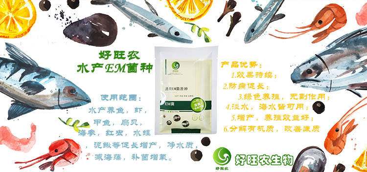 广元地区有没有养殖家鱼使用的em菌 池塘 水色 肥料