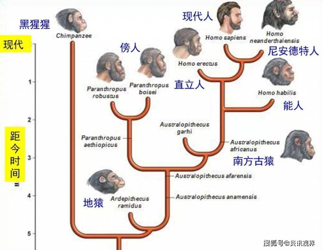 原创既然人类是进化来的那地球上第一个男人和女人是如何出现的