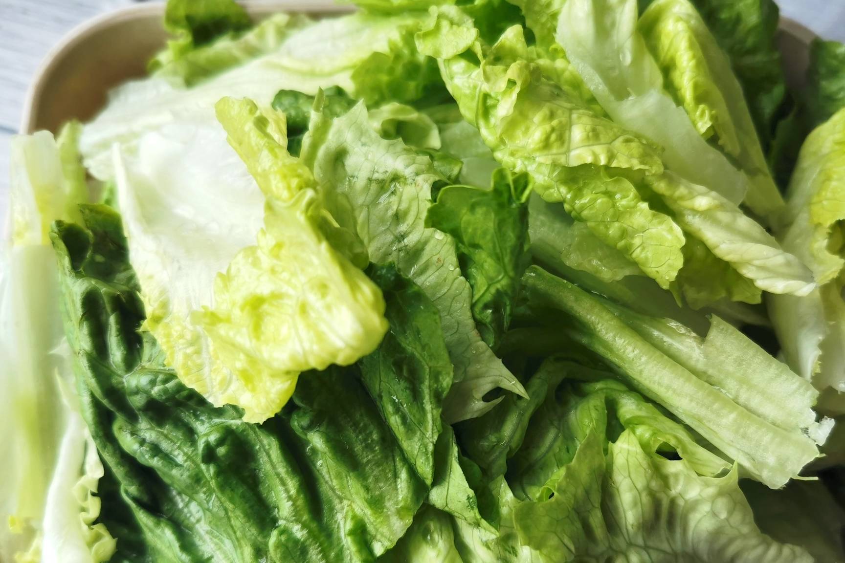 生菜可以生吃吗 以前或许可以生吃,现在不建议,理由有3个