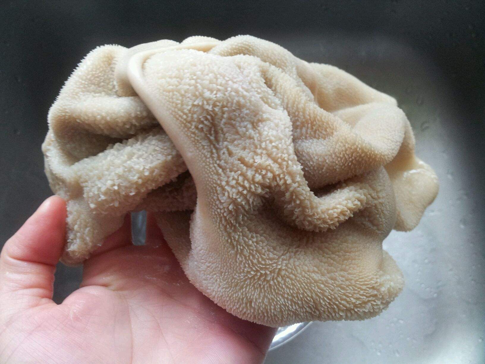 生羊肚买回家后,放面粉白醋,涂抹均匀多搓洗两遍,洗干净后凉水下锅焯