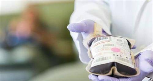 熊猫血是什么血型组成 c774e6736acd4834bc81d2e15ea673ee.jpeg