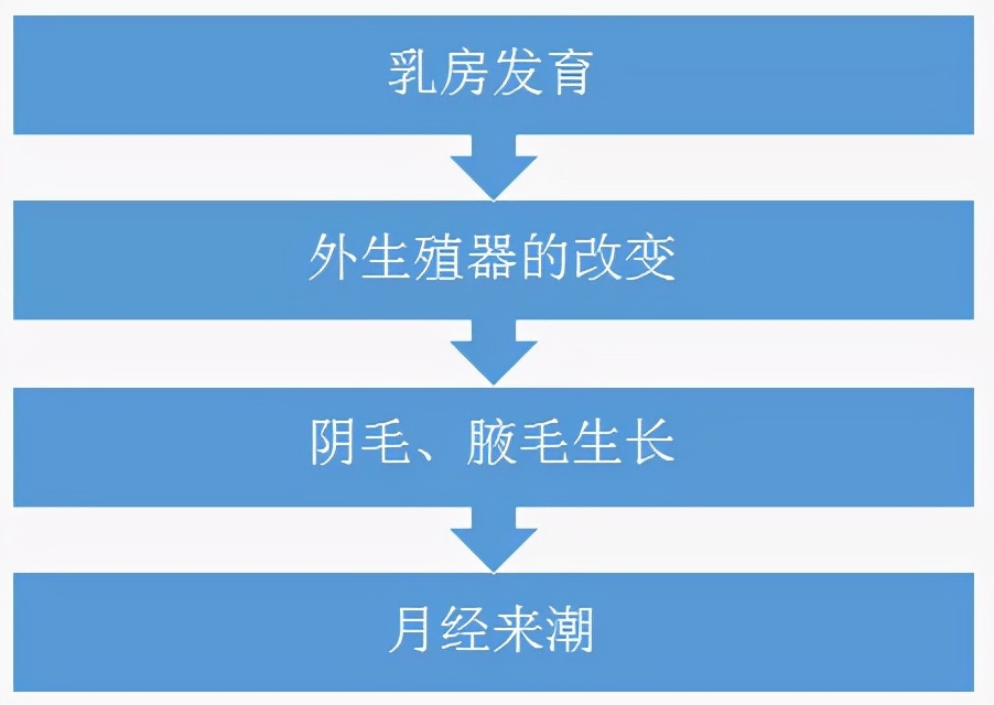 女孩的发育顺序为,先是乳房发育,然后出现阴毛和外生殖器的改变,再有