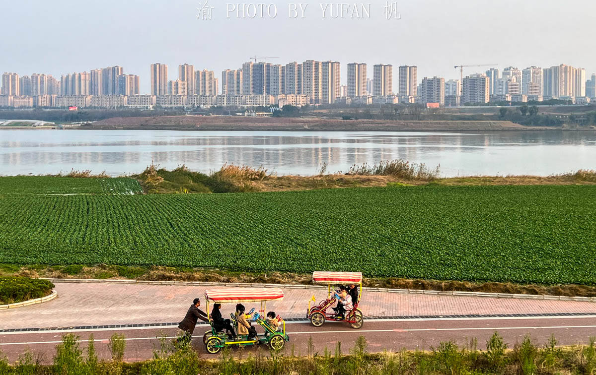 中国|重庆潼南蔬菜公园，中国最接地气的公园，与大佛寺与双江古镇相邻