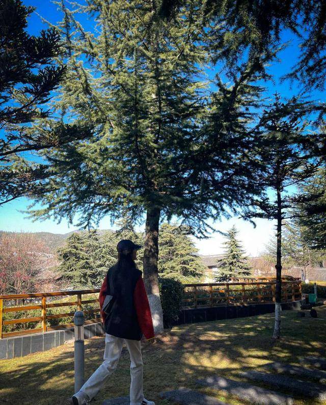 教科书 刘雯又现教科书级穿搭，卫衣叠穿马甲简约随性，值得平凡女孩借鉴