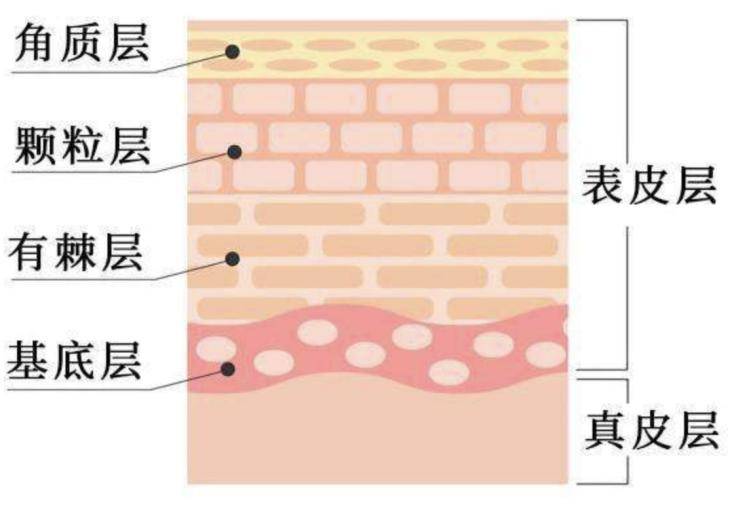 营养请问皮肤干燥吃什么维生素，在线等......