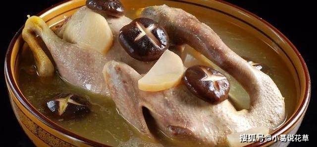 美食精选 花旗参炖水鸭 鸭冬瓜汤 嗜嗜滑鸡煲 肉末四季豆做法 鸡块 红椒 豆豉