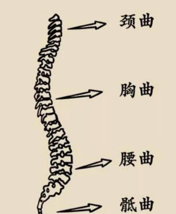 官宣|47岁贾静雯突然官宣！保密工作做得太好了