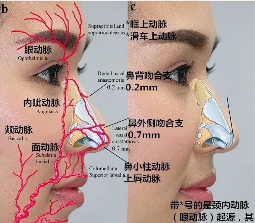 分子注射医师张杰：不同部位填充，玻尿酸要怎么选？