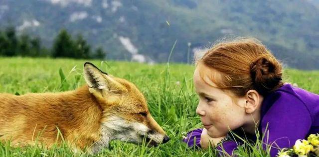 《狐狸与我》一部既能圆我们森林梦又适合亲子看的电影，超赞！