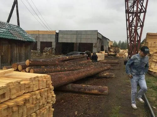 去年共有5家俄罗斯木材加工企业享受了新的贷款优惠