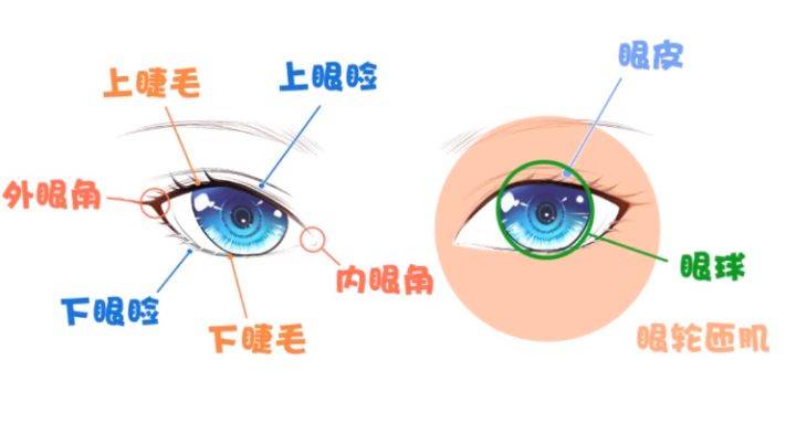 一、从双子座的性格特点出发