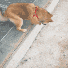 370b7802715b4ff1be280ba2138059e8.gif