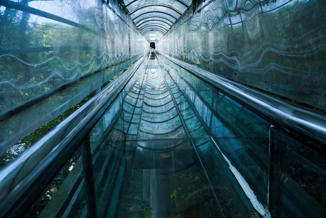 南丹山赏樱花玩国内三大玻璃桥住私家泡池度假村