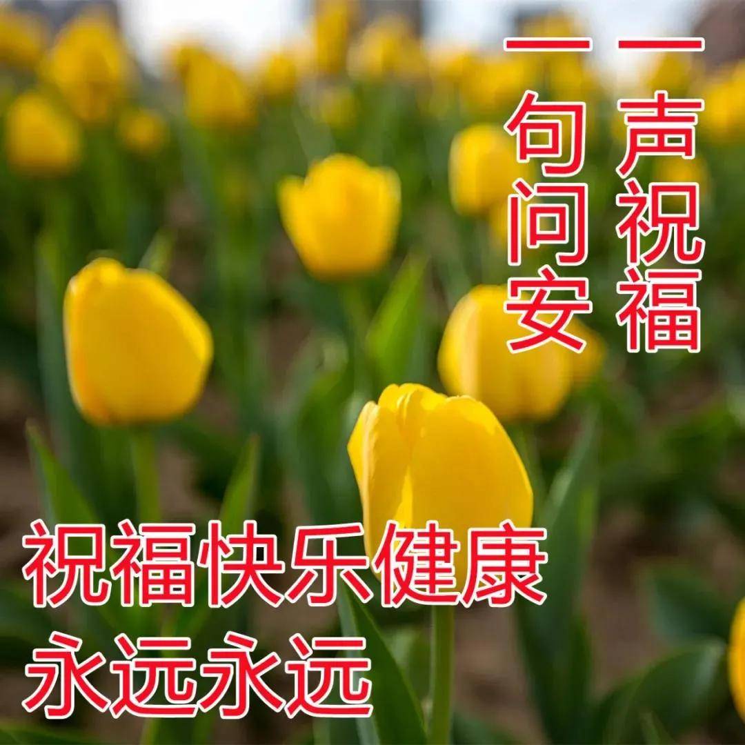 原创分享朋友圈早上好问候图片带祝福语清晨问候大家早上好的早安暖心
