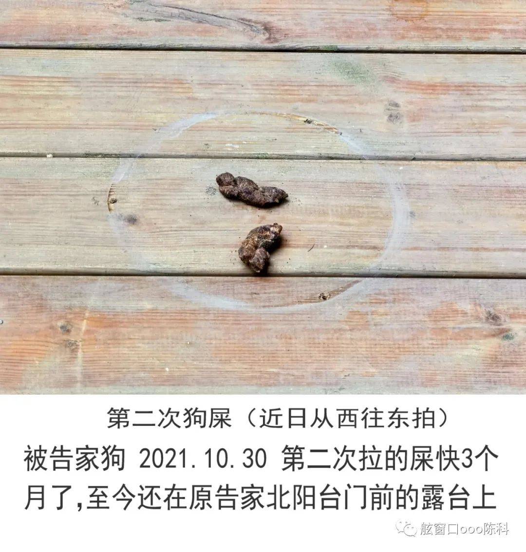 世界上最臭的狗屎图片