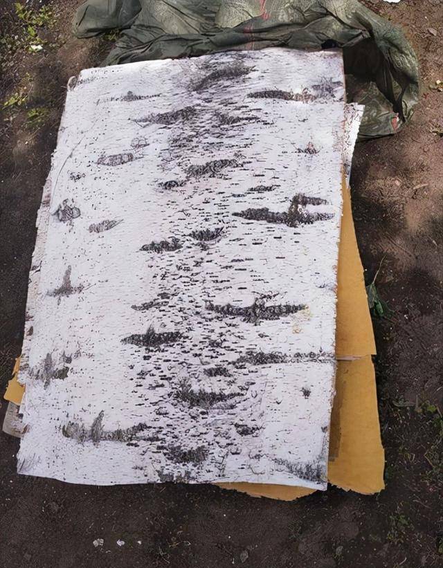 杨靖宇将军牺牲后:子孙三代珍藏一遗物80余年,不忘初心服务人民