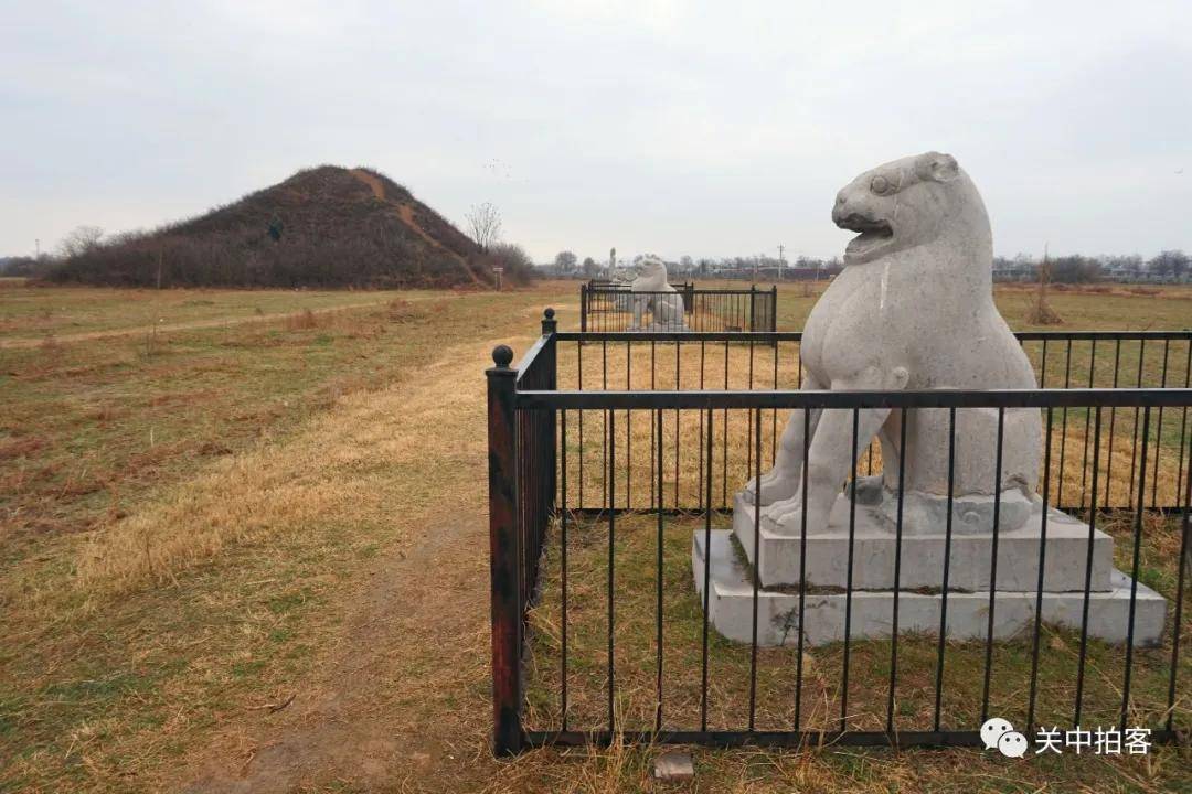 順陵神道石虎在唐僖宗李儇靖陵南側的神道上,矗立著一對石虎,沒有看到