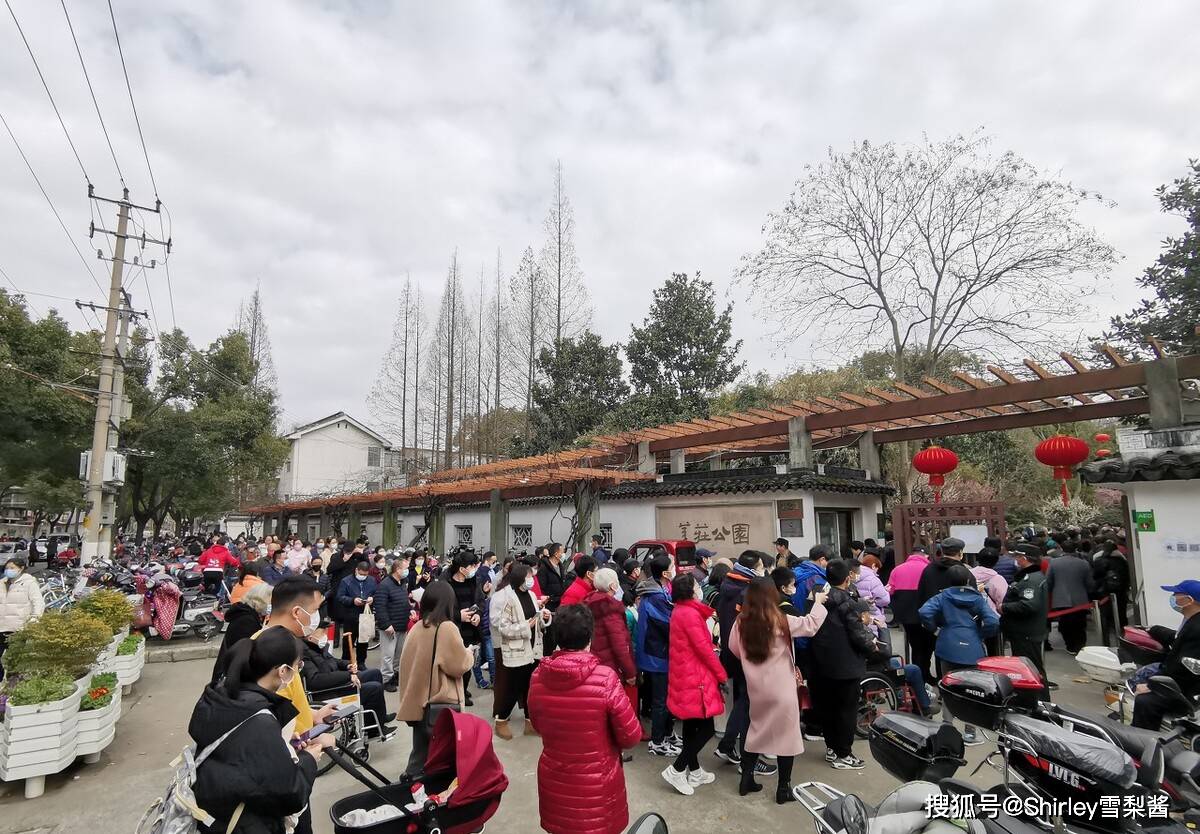 每年春节前后，上海这座公园的人气都会暴涨，成为“限时版网红”