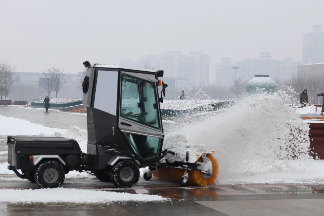 瑞雪|瑞雪踏春迎新年