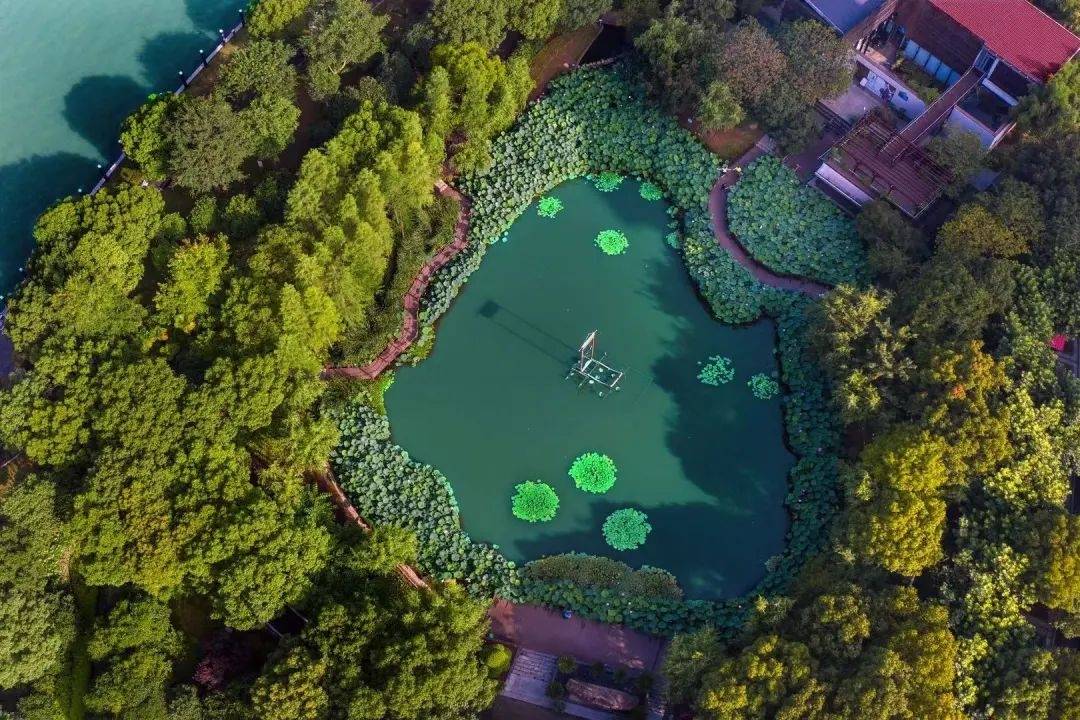 入選市級公園名錄這處口袋公園你打卡了嗎