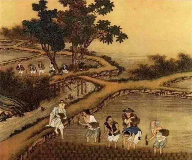 耕牛是古代农业上的战略性物资,古人如何“守护”耕牛?_进行_生产_法律