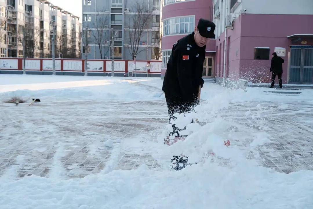 瑞雪|瑞雪踏春迎新年