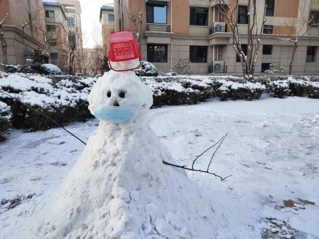 瑞雪|瑞雪踏春迎新年