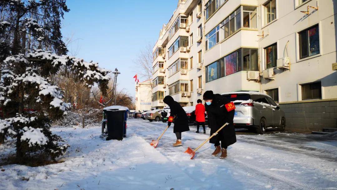 瑞雪|瑞雪踏春迎新年