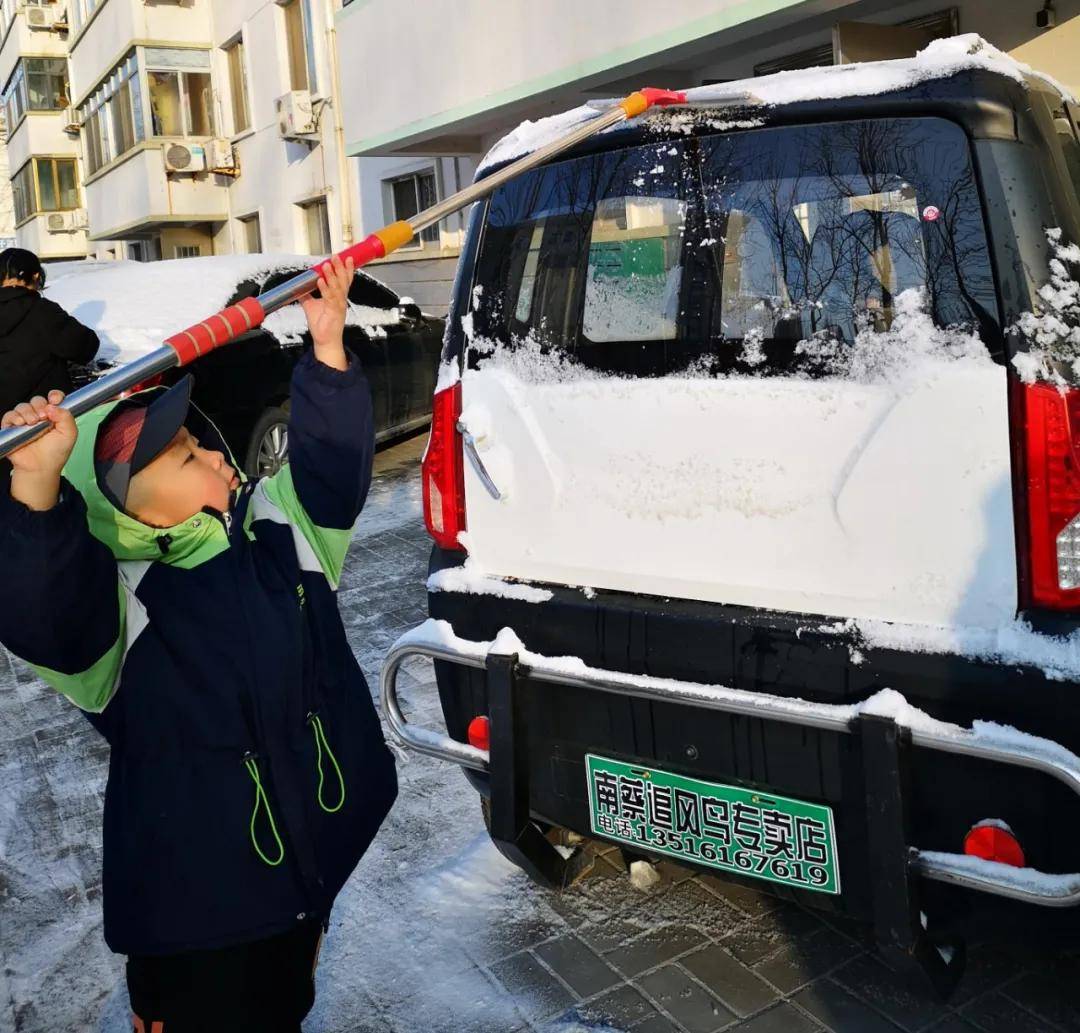 瑞雪|瑞雪踏春迎新年